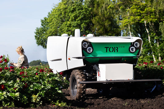 Een robot met laser en AI tussen de Itoh-pioenen