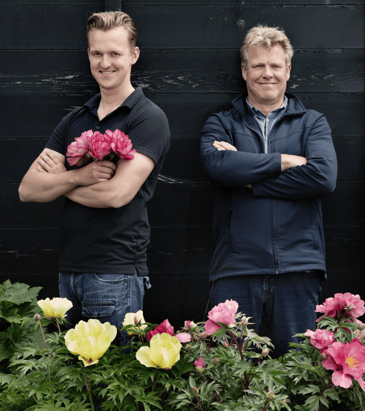 Behind the Grower: de familie achter onze Itoh- en snijpioenen Arie en Aron Vriend